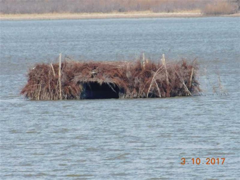 Duck Hunters - Golden Triang : Dalton : Chariton County : Missouri