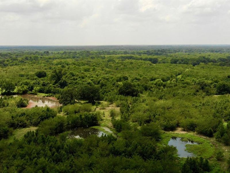 Granddaddy Oaks Ranch : Commerce : Hunt County : Texas