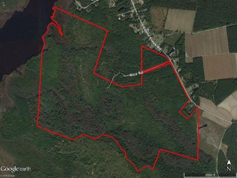 442 Acres of Water : Grantsboro : Pamlico County : North Carolina