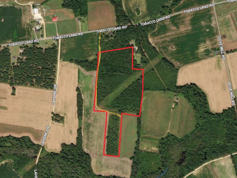 26 Acre Hunting and Timberland Prop : Dillon : Dillon County : South Carolina