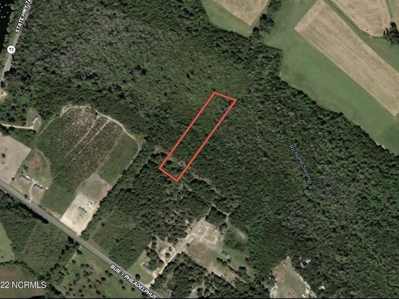 3.49 Acres of Residential and Recre : Pembroke : Robeson County : North Carolina