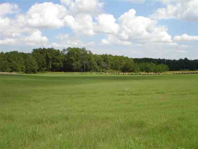 30 Acres of Farm Land for Sale in : Bridgeboro : Worth County : Georgia