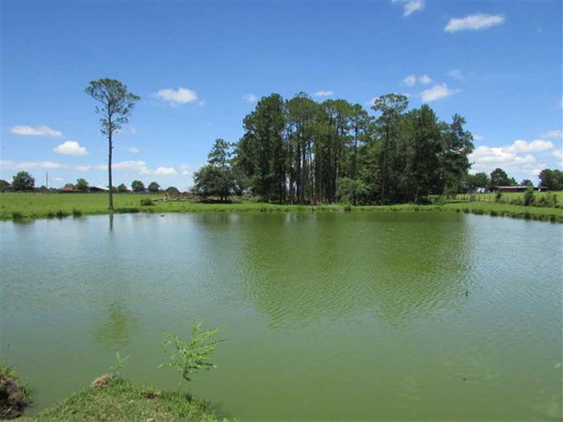 64 Acre Farm in Hartsfield, GA : Hartsfield : Colquitt County : Georgia