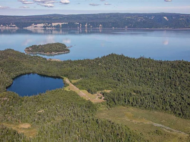 168 Acre Homestead with Lake and Ai : Homer : Kenai Peninsula Borough : Alaska