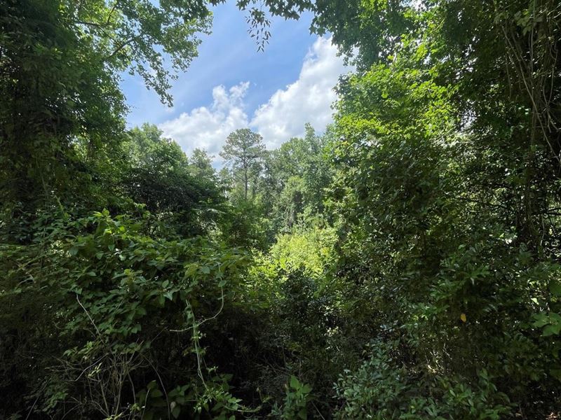Lots 14 & 15 Clark Hill Drive : Eufaula : Barbour County : Alabama