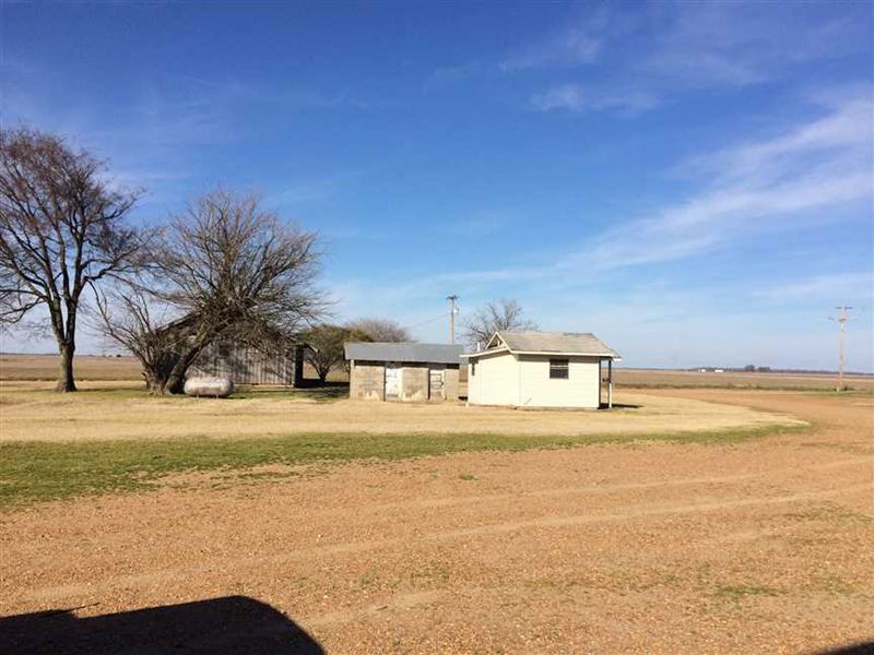 The Monroe Farm, Moro AR Land for Sale in Moro, Lee County, Arkansas