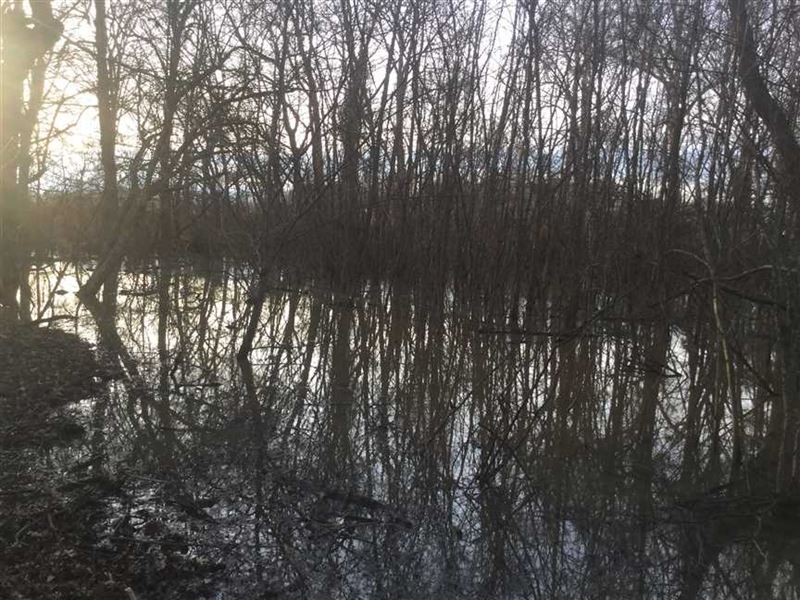 Brickeys Arkansas Hunting Property : Brickeys : Lee County : Arkansas