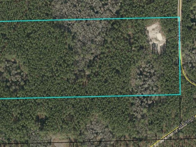 20 Acres Prime Florida Deer Woods : Jasper : Hamilton County : Florida