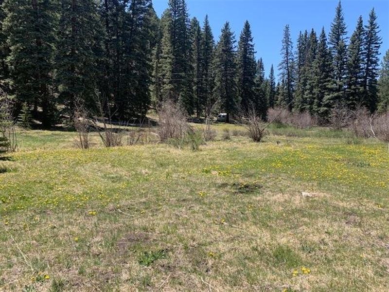 Wethrill Cabin Sites : Coyote : Rio Arriba County : New Mexico