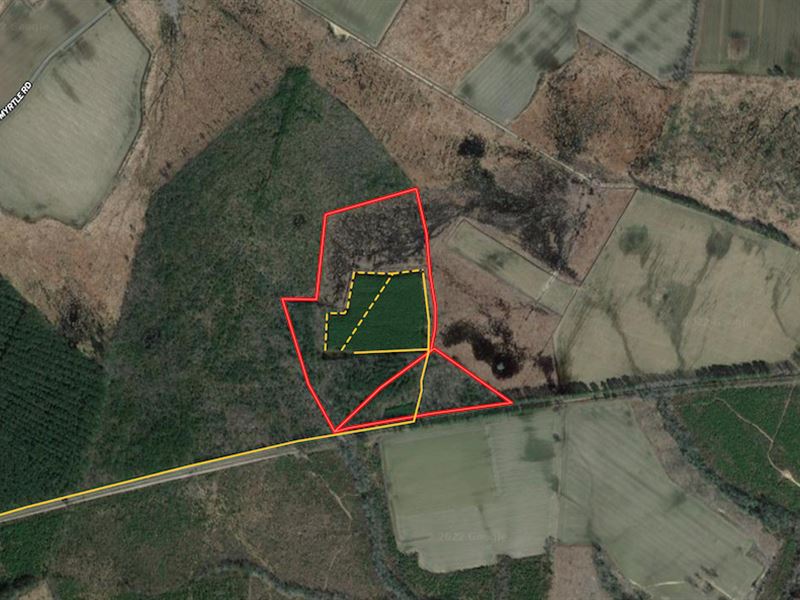 39 Acres of Seclu : Carrsville : Isle Of Wight County : Virginia