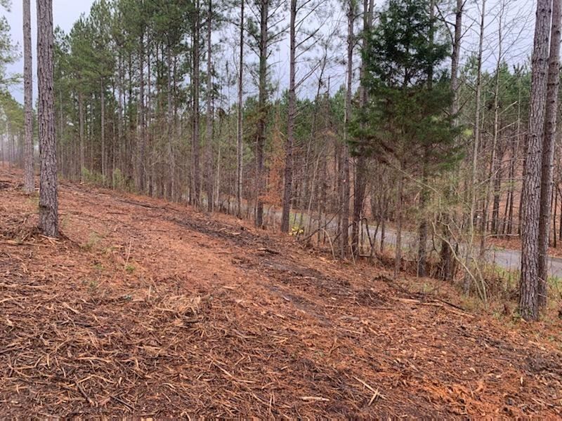 57 Acres in Calhoun County, AL : Wellington : Calhoun County : Alabama