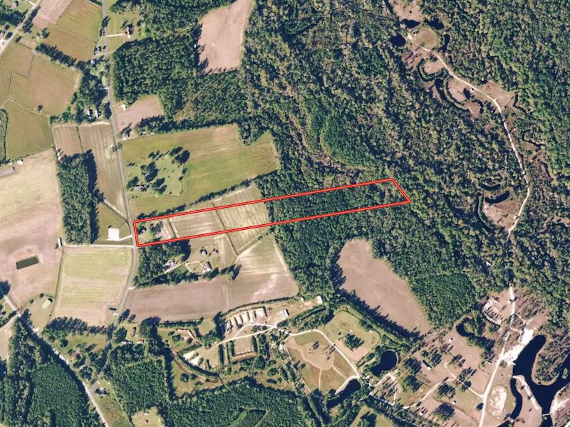 12.96 Acres of Fa : Tabor City : Columbus County : North Carolina