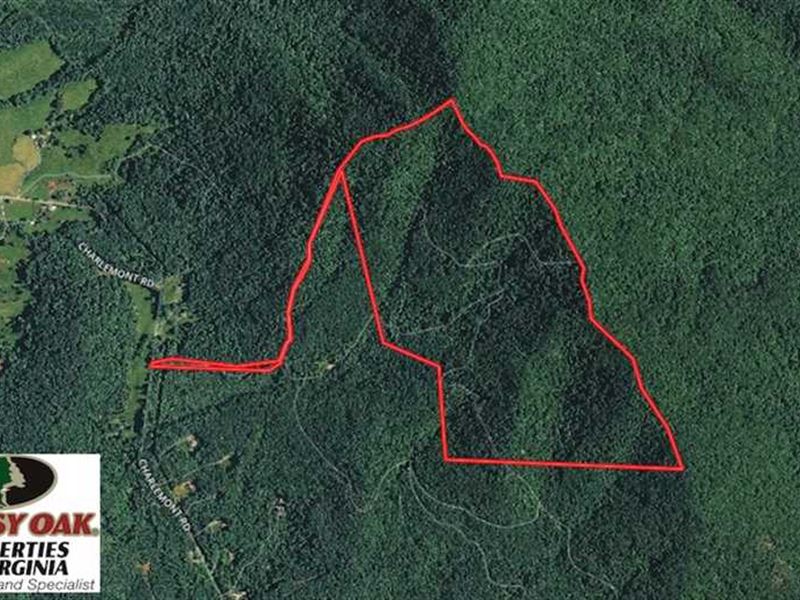 Reduced, 210 Acres of Hunting And : Goode : Bedford County : Virginia