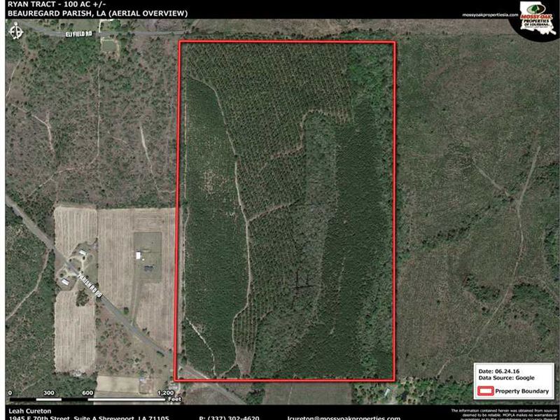 Ryan Tract, Beauregard Parish, 100 Land for Sale in Merryville