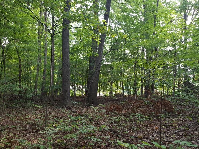 Land for Sale-Watson Place Lot 2 : West Terre Haute : Vigo County : Indiana