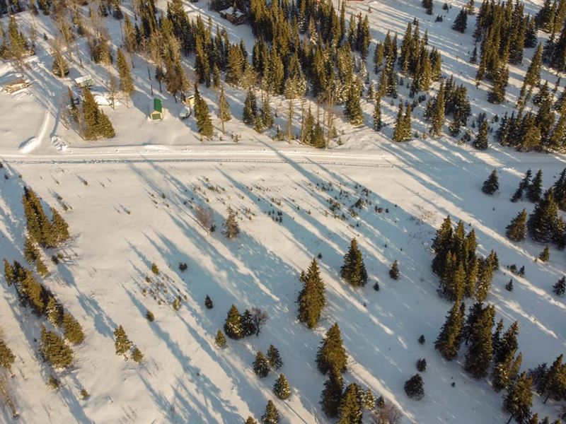 L6 Cecelia St, Ninilchik : Ninilchik : Kenai Peninsula Borough : Alaska