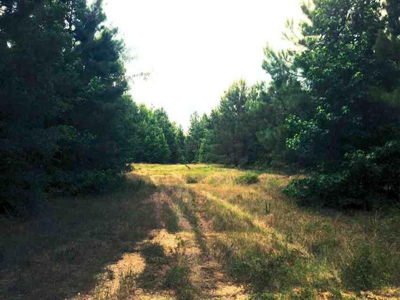 Highway 1240-James Road Tract, Gran : Verda : Grant Parish : Louisiana