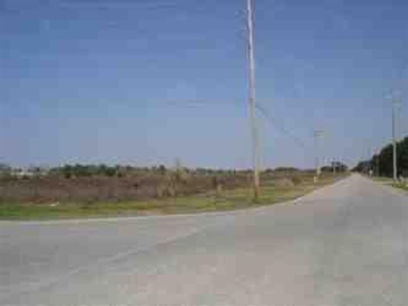 32 Acres Loxley, Al, Baldwin : Loxley : Baldwin County : Alabama