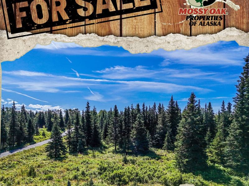 15737 Cecelia Street : Ninilchik : Kenai Peninsula Borough : Alaska