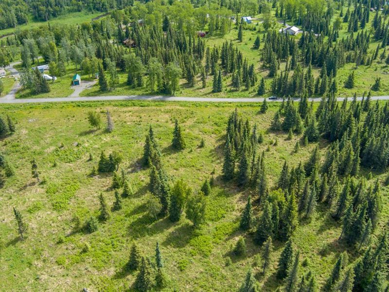 L9 Cecelia Street : Ninilchik : Kenai Peninsula Borough : Alaska