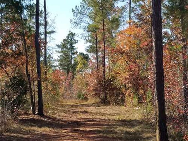 76 Acres Off Walker Road, Rock : Rock Hill : York County : South Carolina