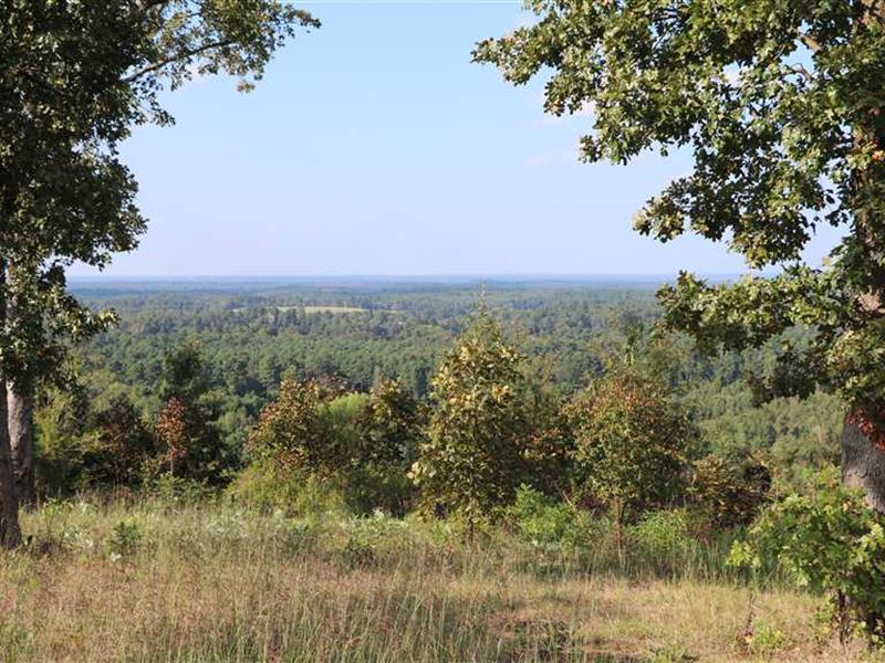Dunlap Hill Tract : Douglassville : Cass County : Texas