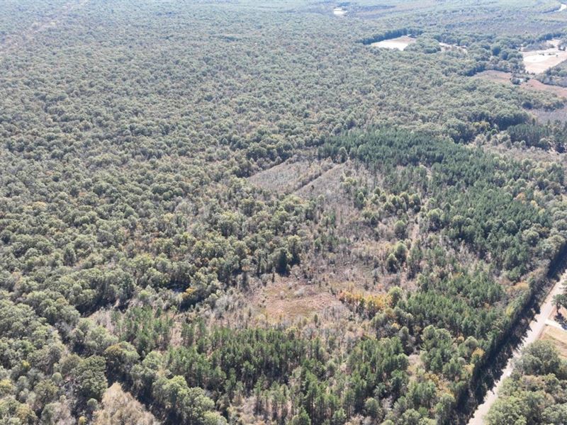 Gourd Bayou Tract, Ouachita Parish : Monroe : Ouachita Parish : Louisiana