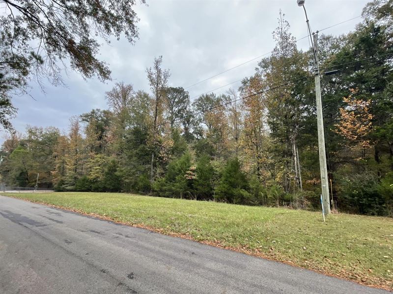 2.8 Acre Residential Lot Deerfield : West Point : Clay County : Mississippi