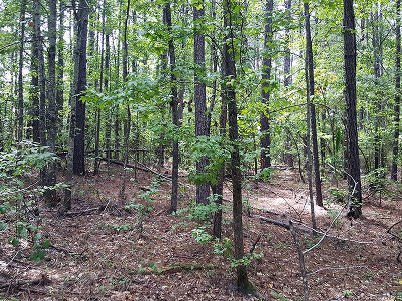 Oakridge Woods : Valley : Chambers County : Alabama