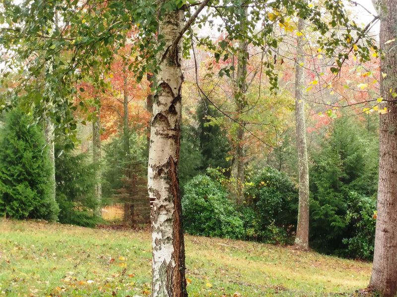 Oakpointe Farm, Country Living : Saint Albans : Kanawha County : West Virginia