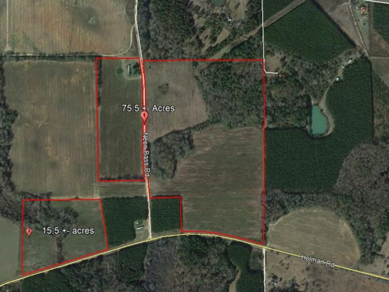Beautiful 91 Acre Farm : Leslie : Sumter County : Georgia
