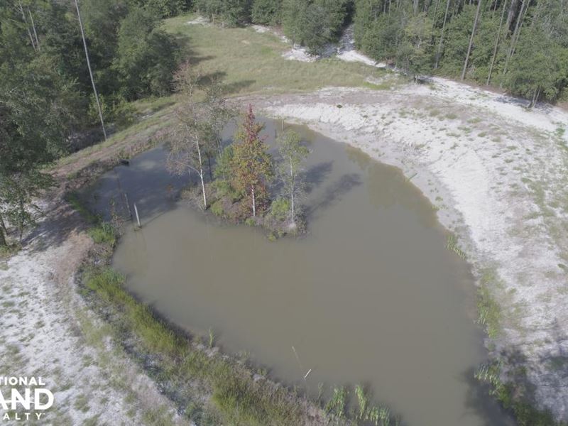 Great Satilla Preserve Lot 29 : White Oak : Camden County : Georgia