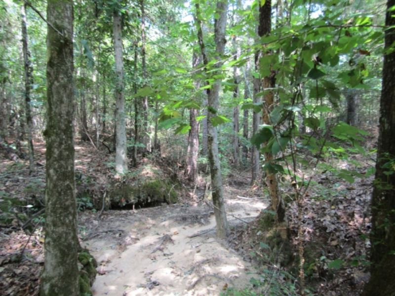 15 Acres in Holmes County : Durant : Holmes County : Mississippi