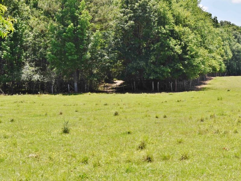 Pasture Hunting Timber Creek Land : Fayette : Jefferson County : Mississippi