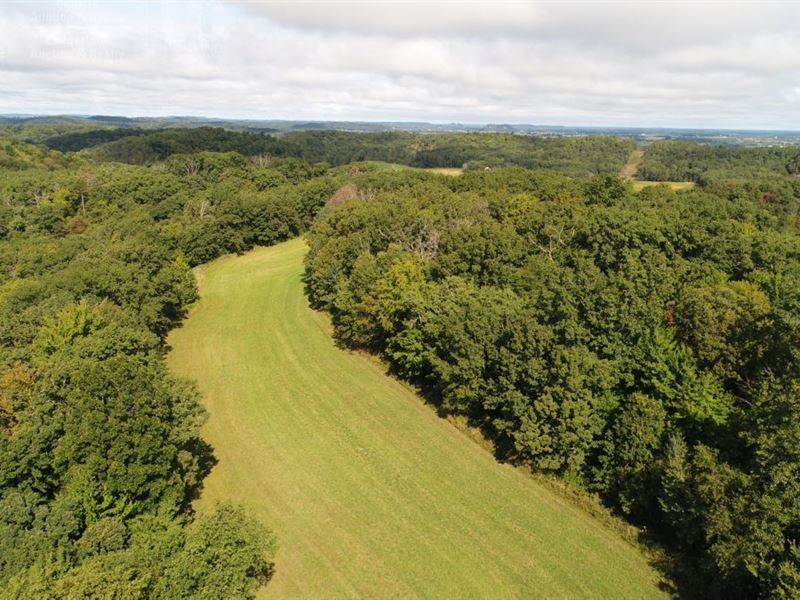 Trophy Whitetail Producing Property : Mauston : Juneau County : Wisconsin