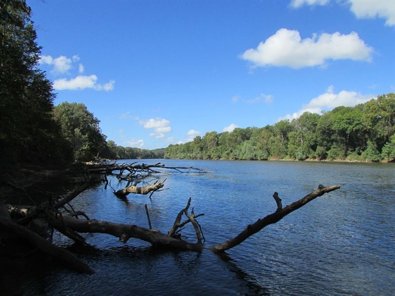 10 Interest Muller Lake Hunting : Columbia : Calhoun County : South Carolina