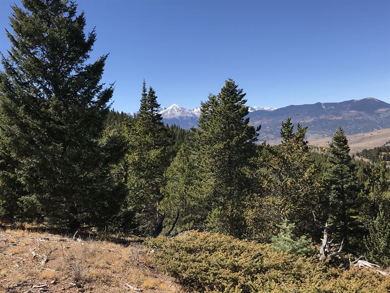 Forbes Wagon Creek Ranch Lot 488 Land for Sale in Fort Garland