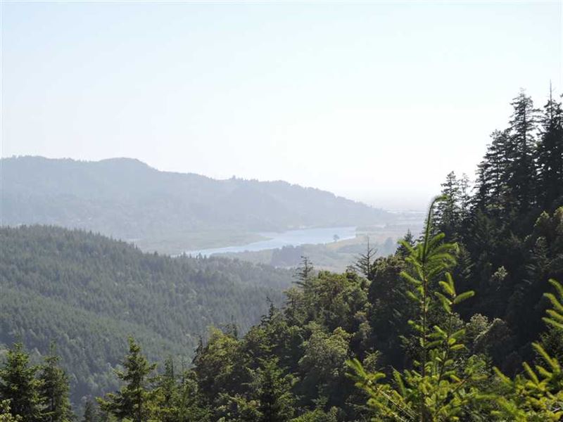 Lot 102 North Bank Rd : Gold Beach : Curry County : Oregon