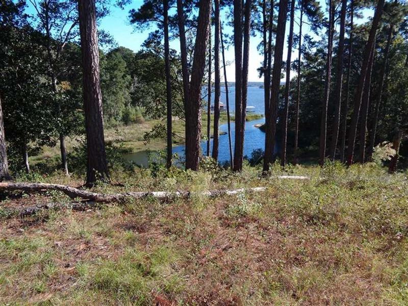 Beautiful Waterfront Lot in Cypress : Eufaula : Barbour County : Alabama