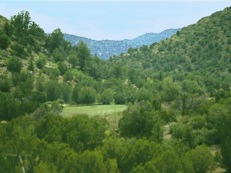 Northwest Arizona's Best Land Buy : Peach Springs : Mohave County : Arizona