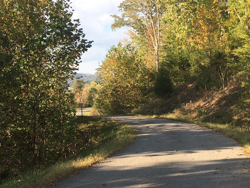 Norris Lakefront Lot : Sharps Chapel : Union County : Tennessee