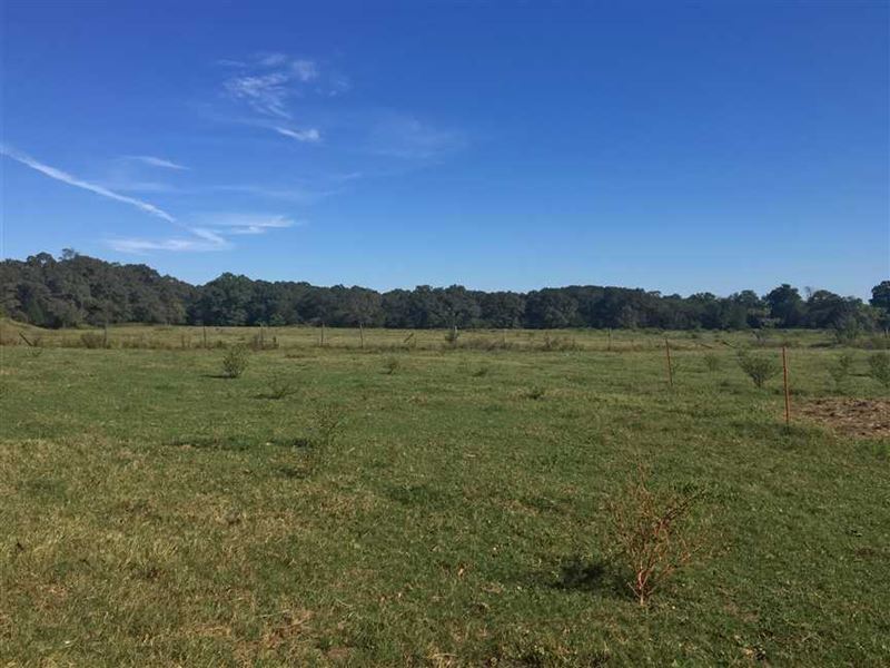 65 Acre Cattle Farm with Home in : Plumerville : Conway County : Arkansas