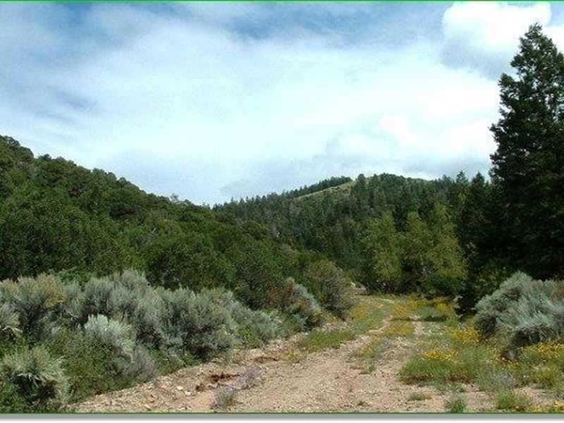 Sangre DE Cristo Ranchette : Fort Garland : Costilla County : Colorado