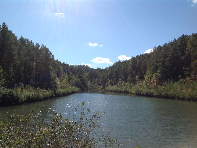 160 Acres Hunting Land : Lynn : Winston County : Alabama