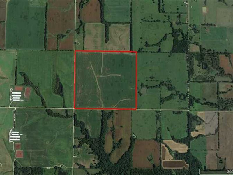 174 Tillable Acres in Barton Count : Lamar : Barton County : Missouri