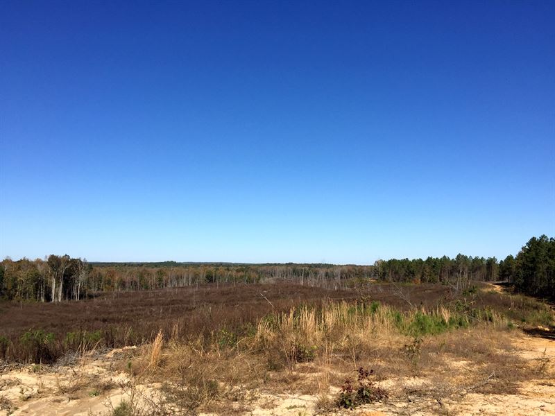 Tract 1596 : Selmer : McNairy County : Tennessee