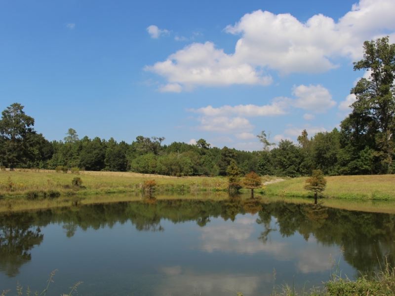Sherrod Farm : Land for Sale in Conroe, Montgomery County ...