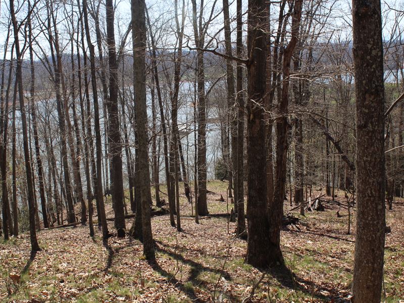 Great Cherokee Lake View Lot : Mooresburg : Hawkins County : Tennessee