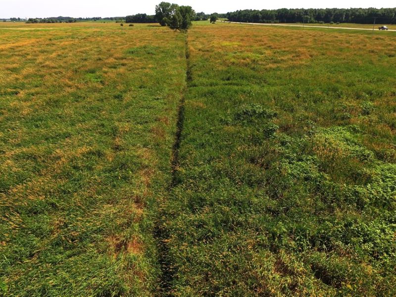 120+/- Acres Ag Land and Hunting : Berlin : Waushara County : Wisconsin