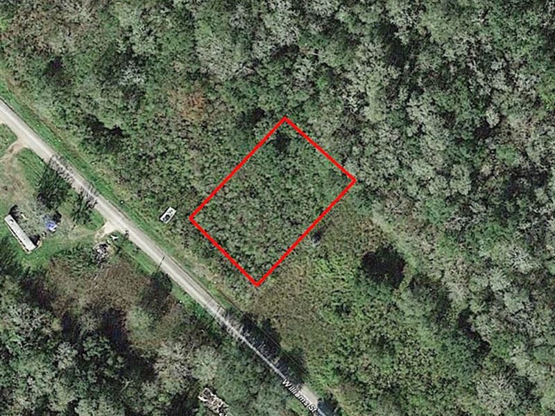 Beautiful Lot Less Than Half-Acre : Brazoria : Brazoria County : Texas
